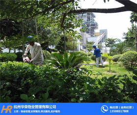 深耕细作护绿荫，杭州华荣物业的景观绿化养护实践