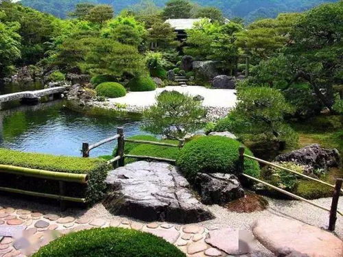 干货丨植物设计和绿化养护的思考 从共生到可持续发展